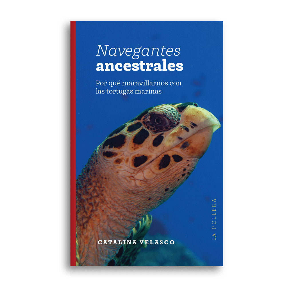 Navegantes ancestrales