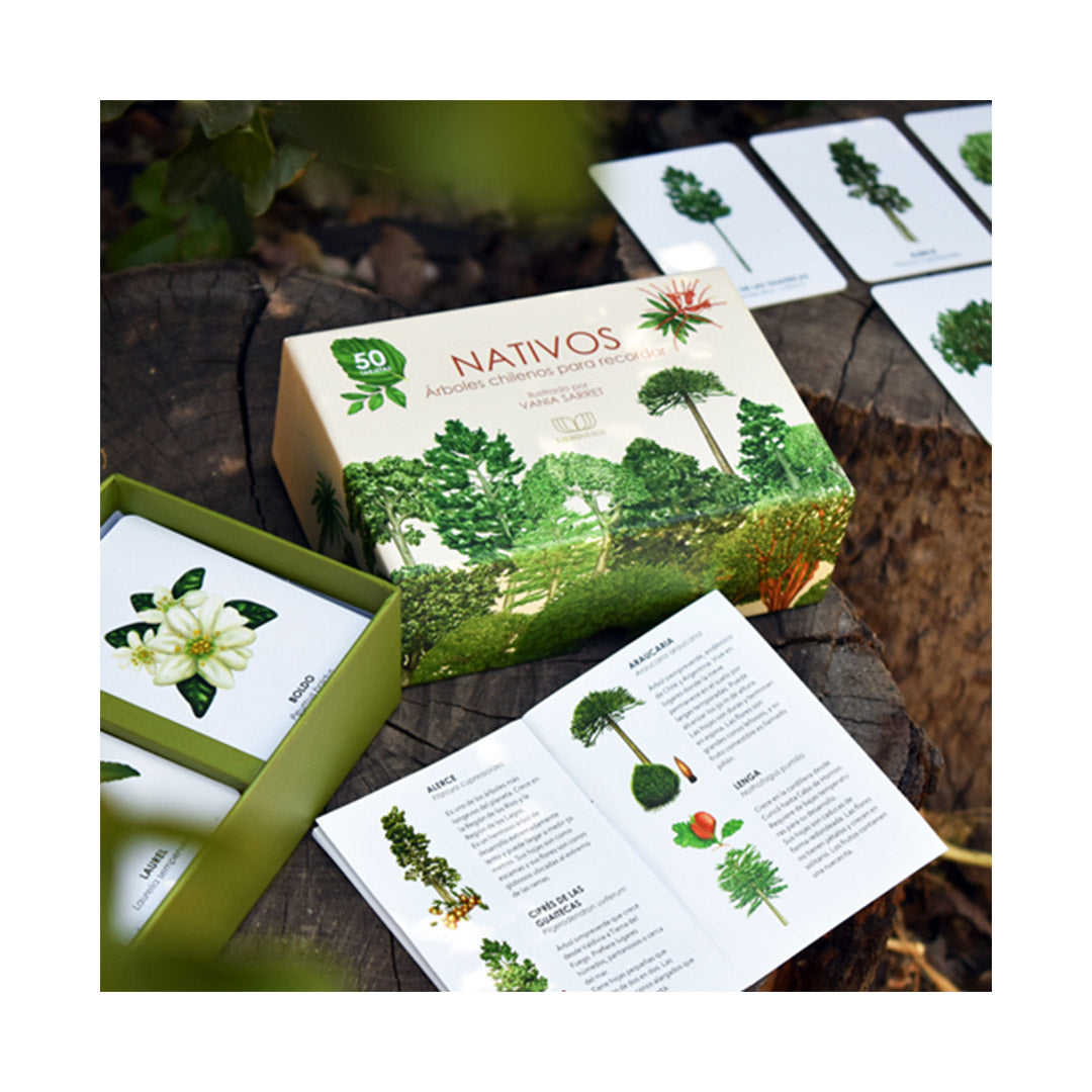 Nativos: árboles chilenos para recordar