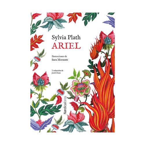 Ariel