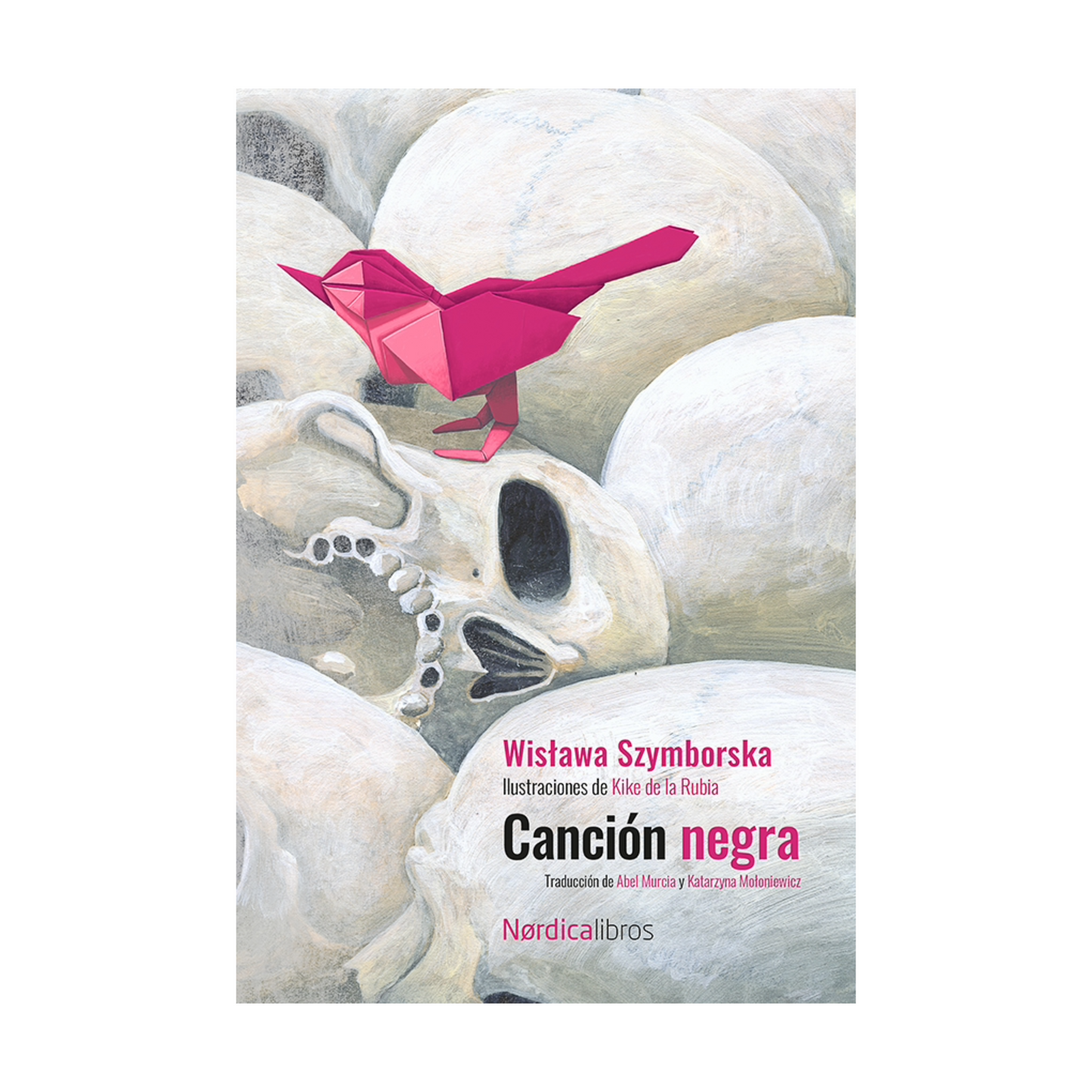 Canción negra (Edición Centenario)