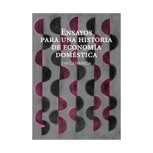 Ensayos para una historia de economía doméstica