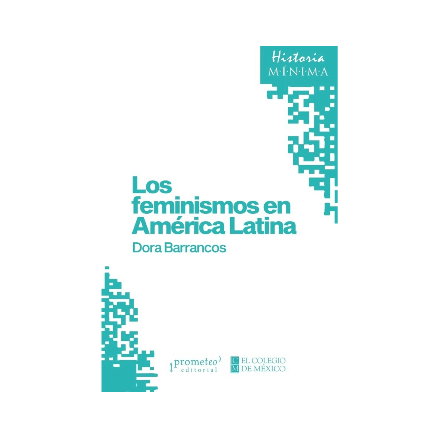Los feminismos en América Latina