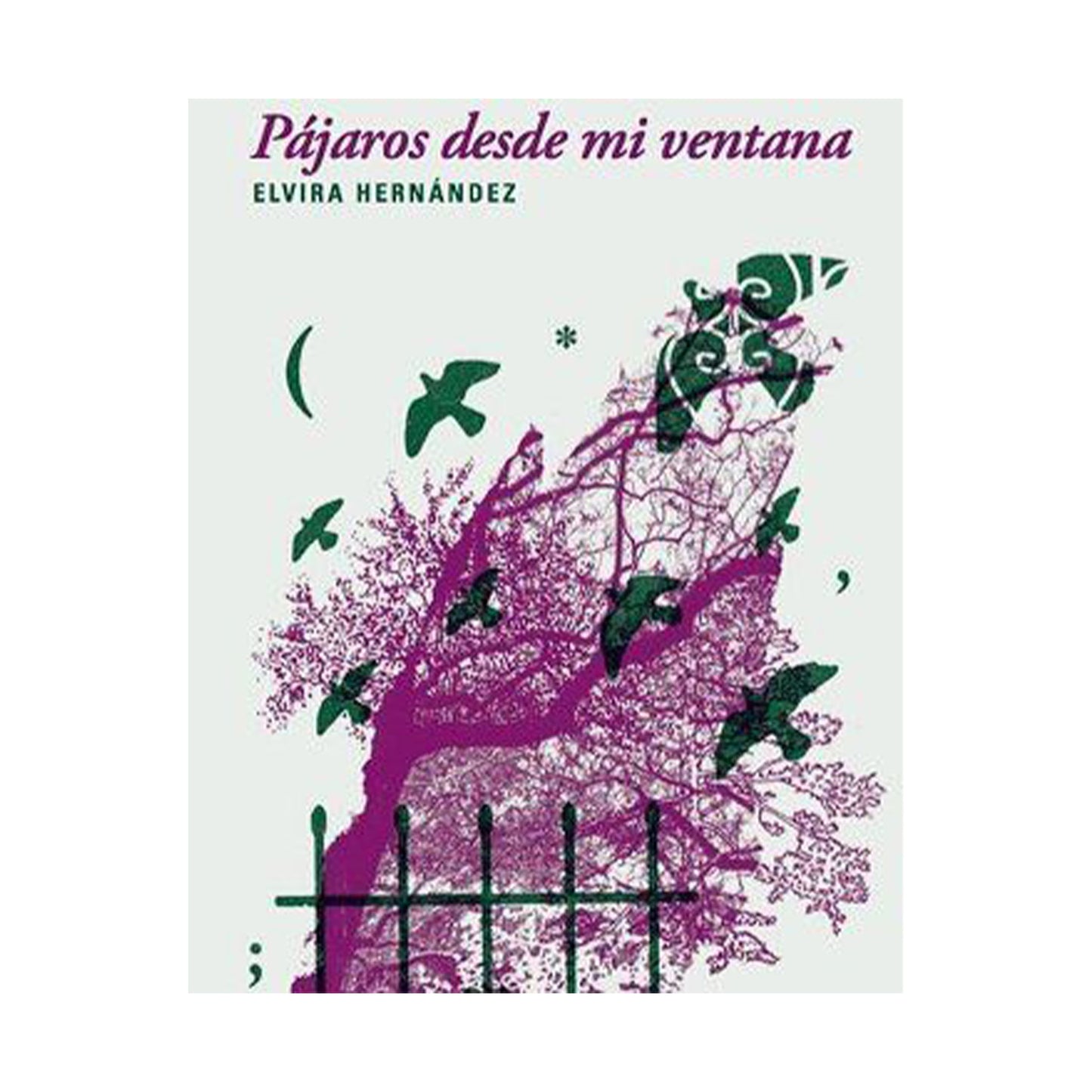 Pájaros desde mi ventana