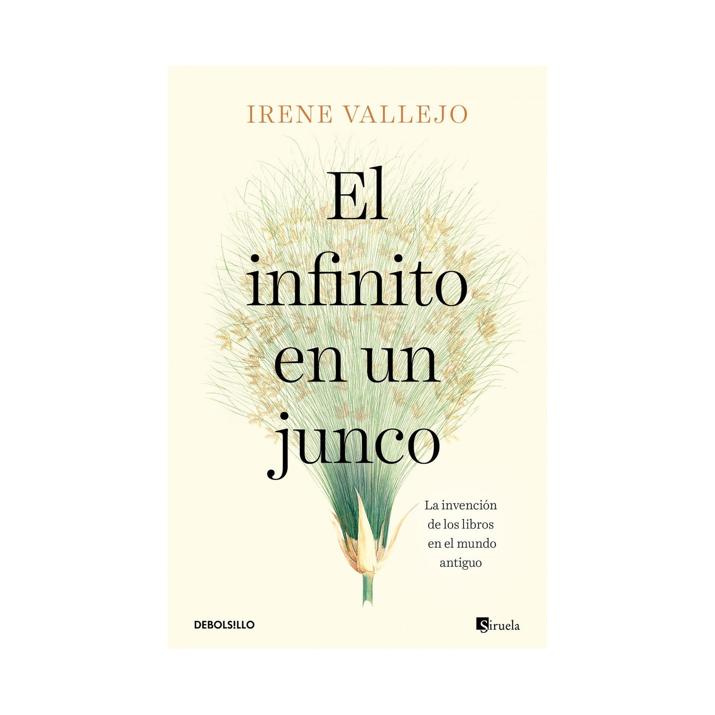 El infinito en un junco