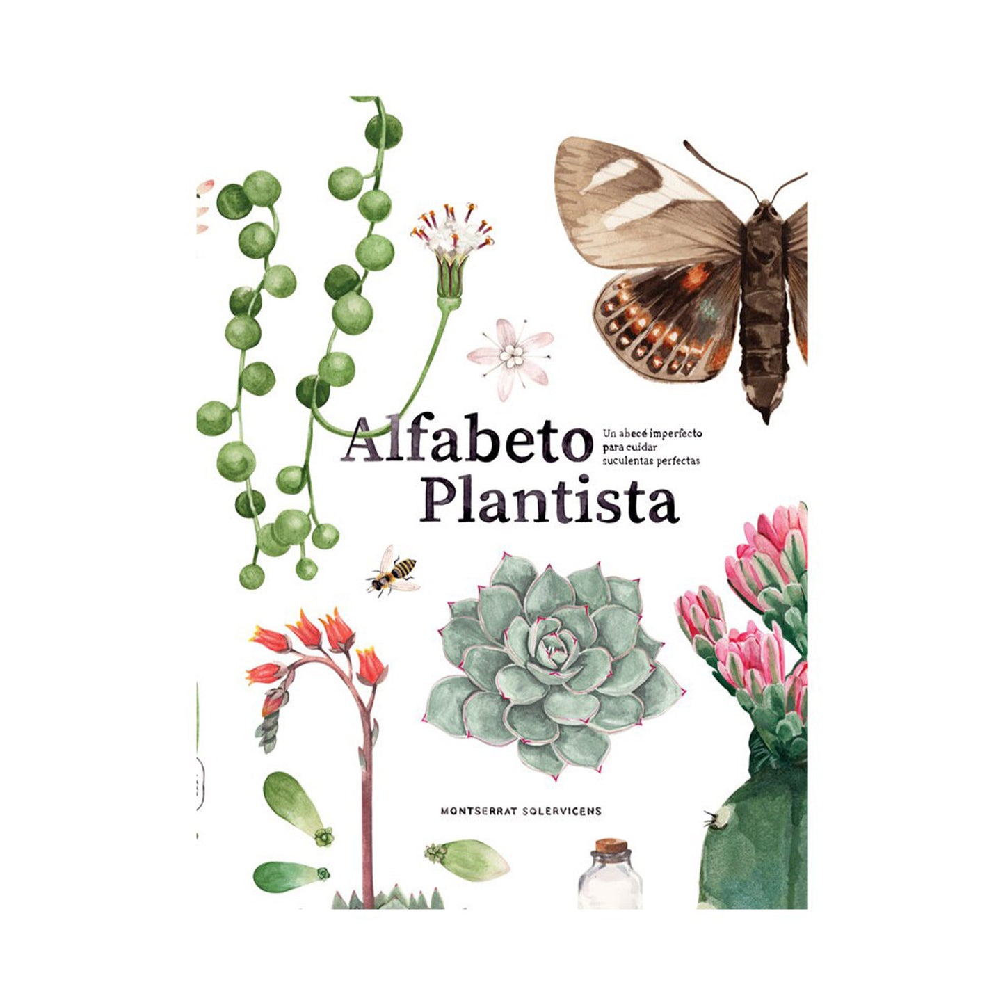 Alfabeto plantista