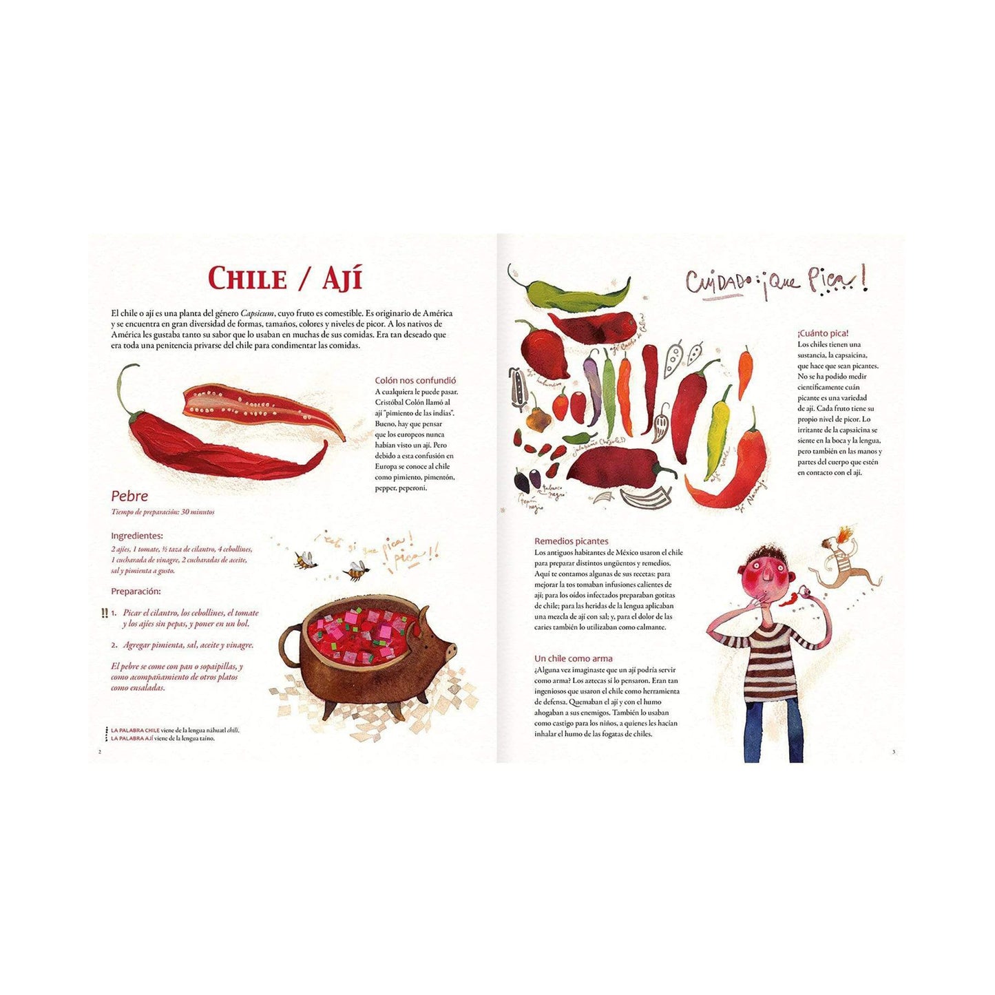Sabores de América