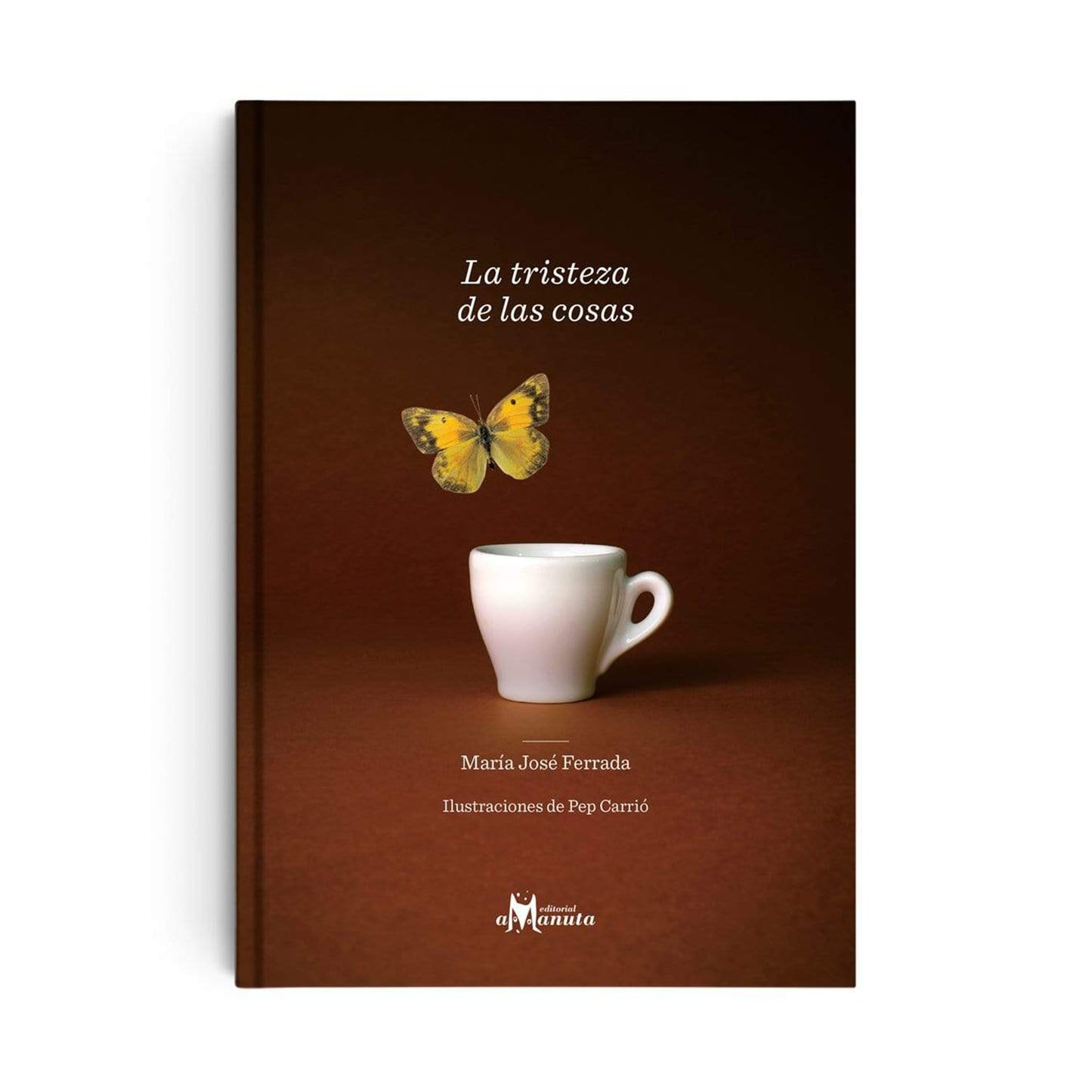 La tristeza de las cosas