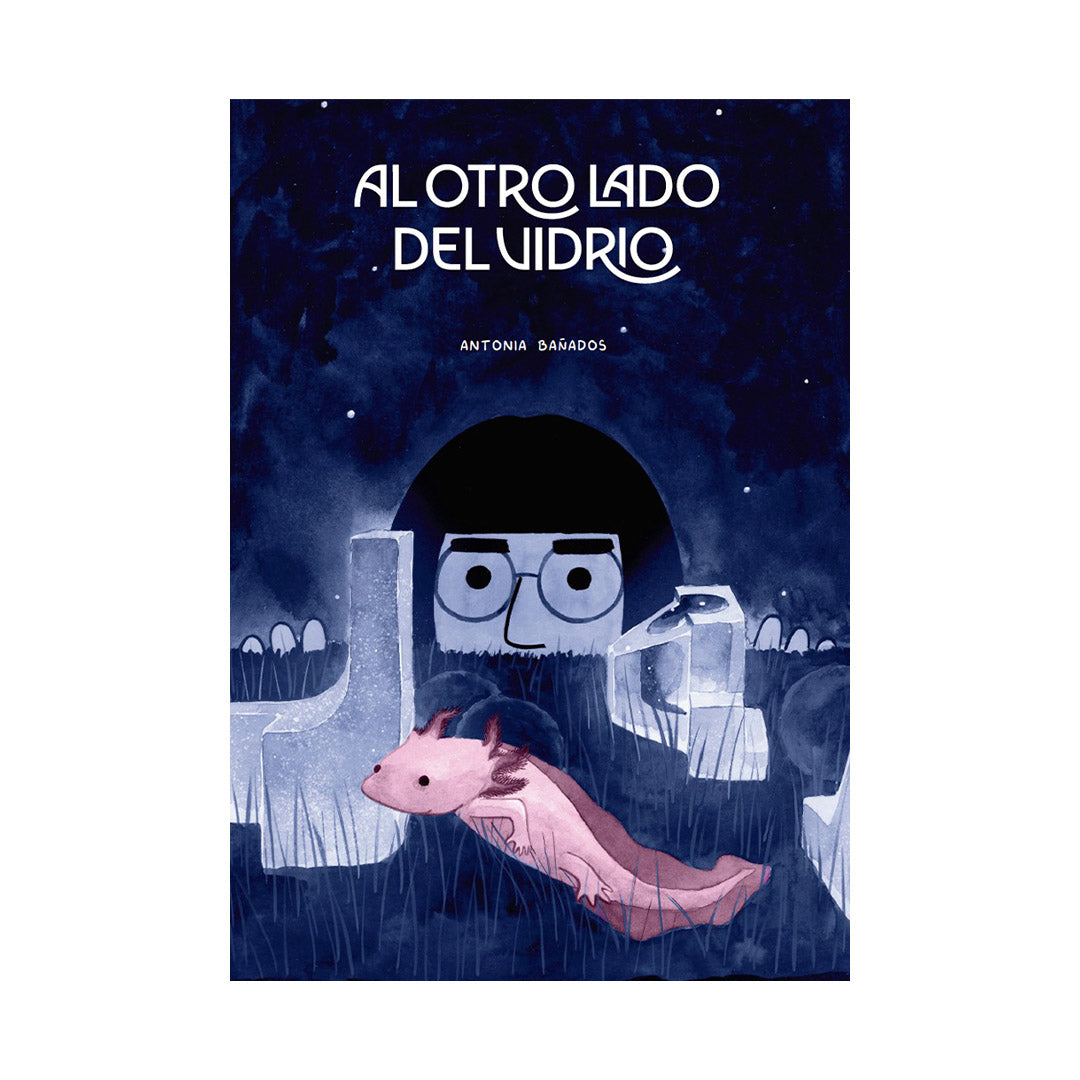 Al otro lado del vidrio