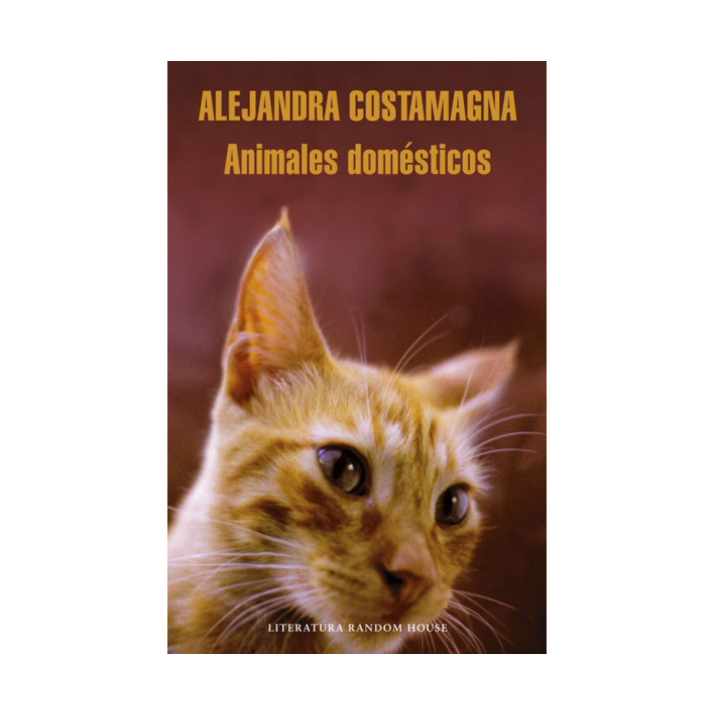 Animales domésticos