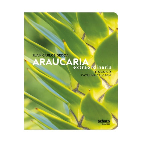 Araucaria extraordinaria