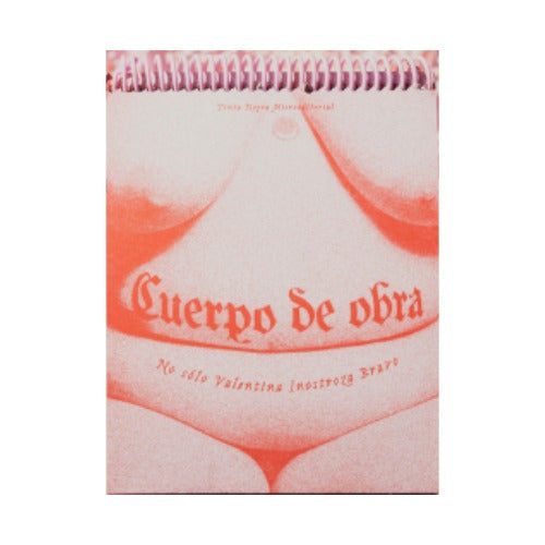 Cuerpo de obra