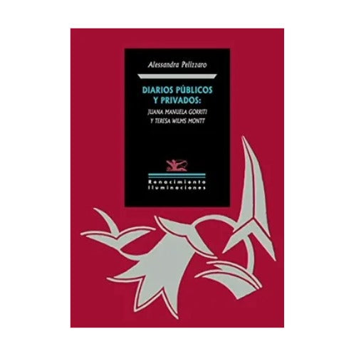 Diarios públicos y privados: Juana M Goritti y Teresa Wilms Montt