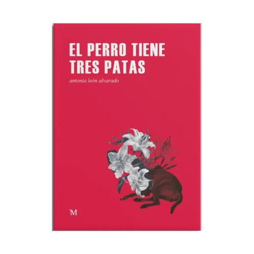 El perro tiene tres patas