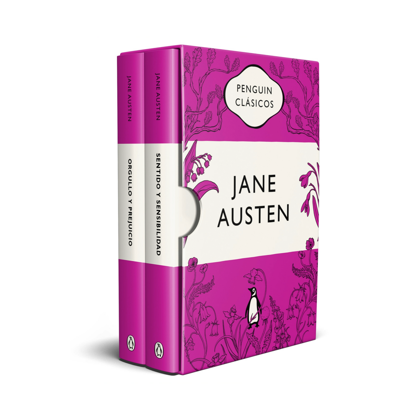 Orgullo y prejuicio - Sentido y Sensibilidad (Estuche Jane Austen)