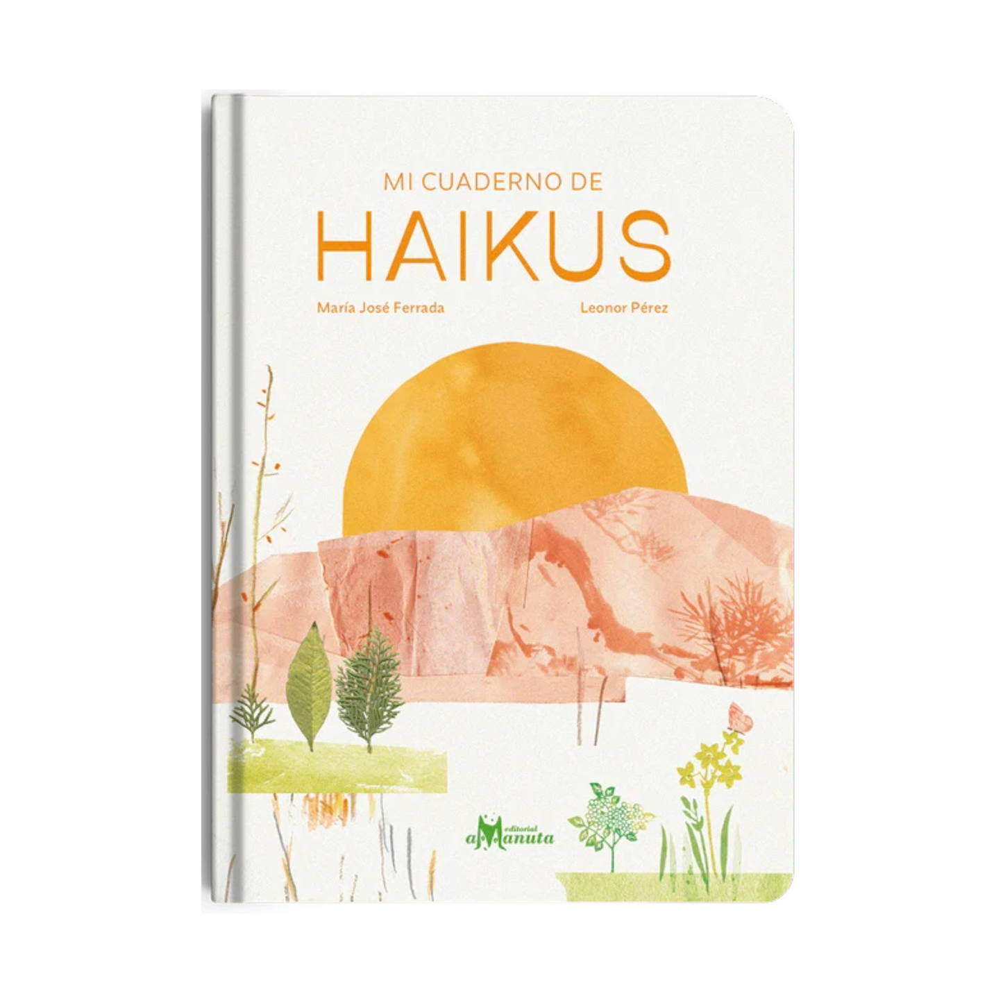 Mi cuaderno de Haikus