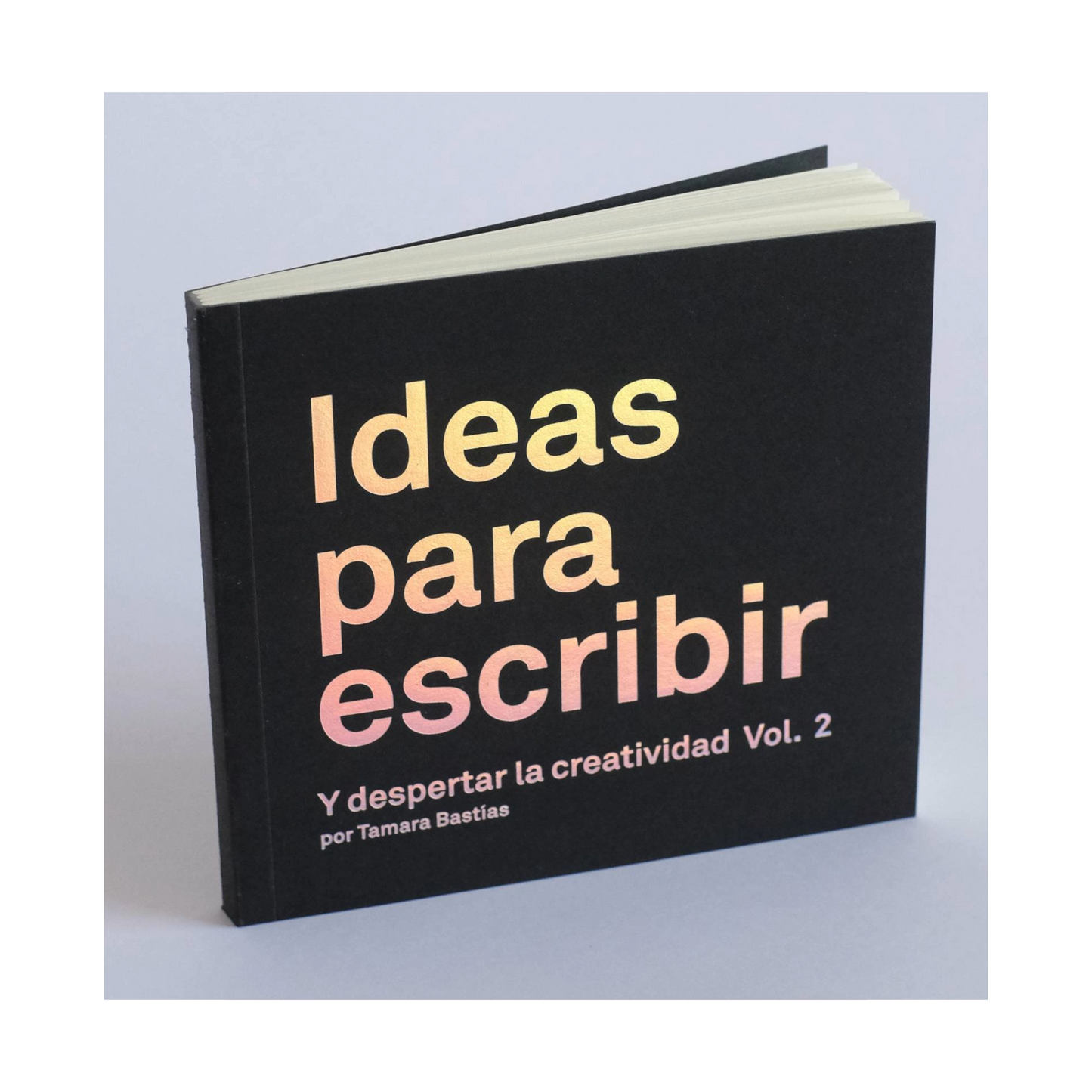 Ideas para escribir. Vol II
