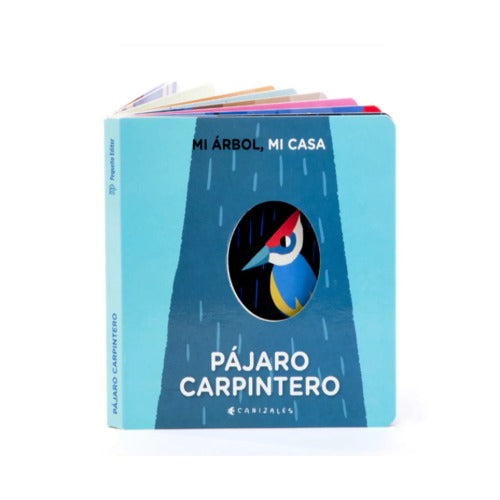 Pájaro carpintero, mi árbol, mi casa