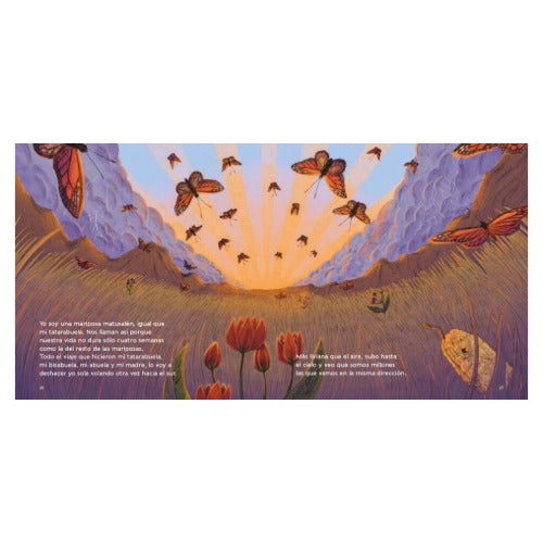 El viaje de la mariposa