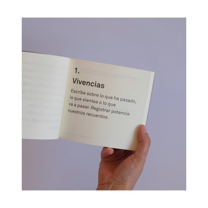 Ideas para escribir. Vol I