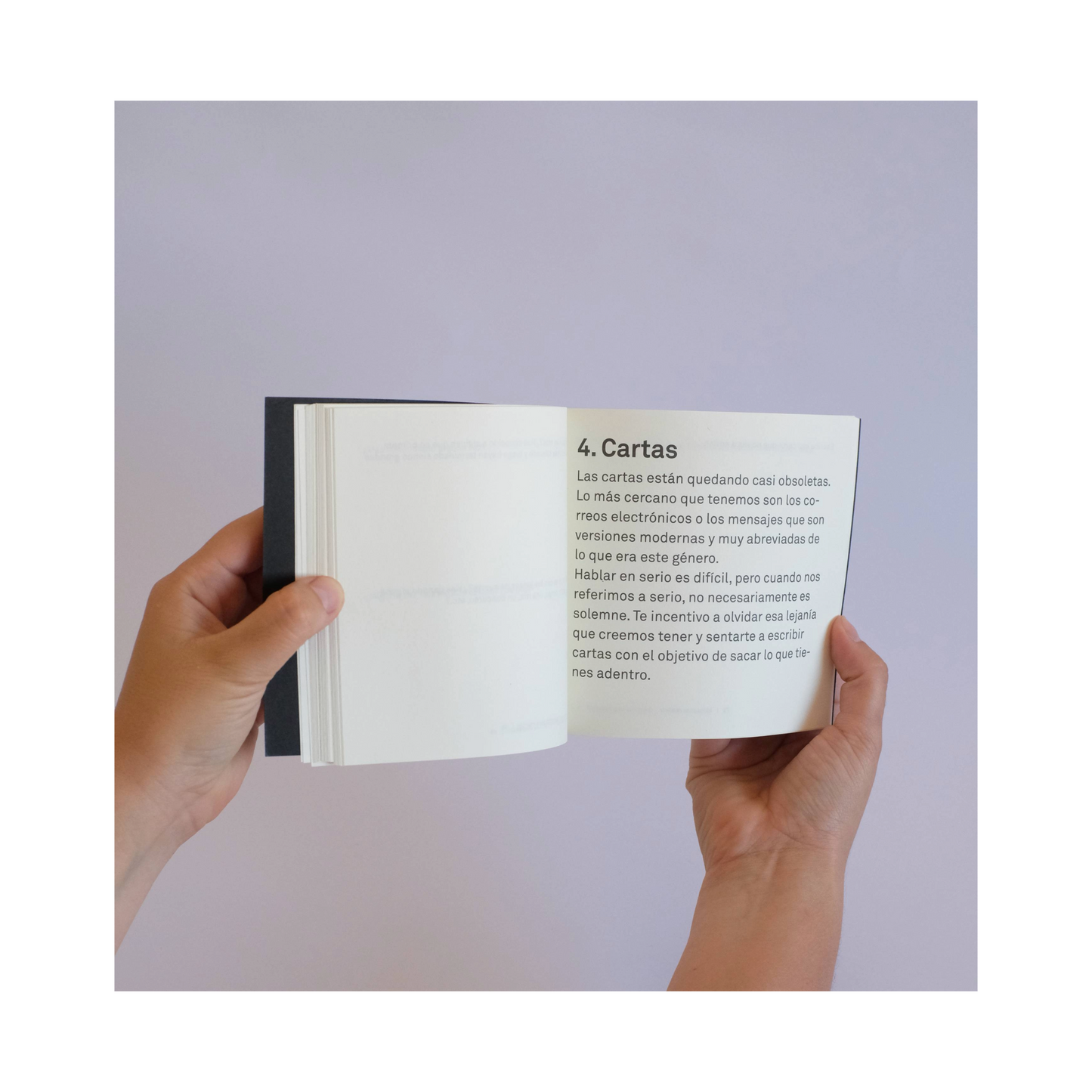 Ideas para escribir. Vol II