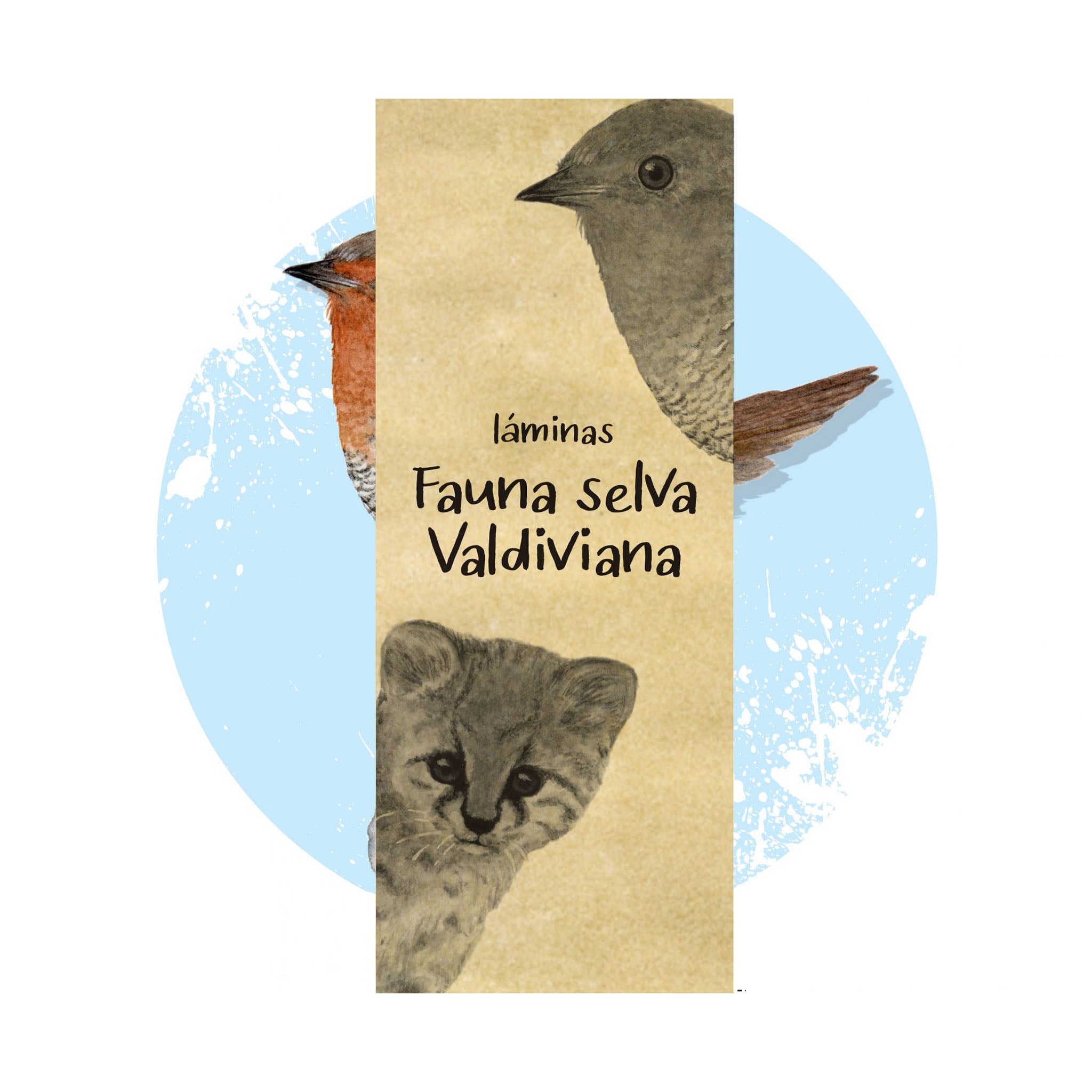 Láminas Fauna Selva Valdiviana